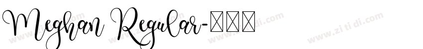 Meghan Regular字体转换